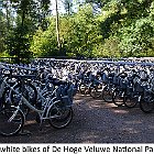2022-06-28 0915a white bikes