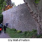 2022-07-01 1767a hattem city wall