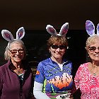 IMG 1418